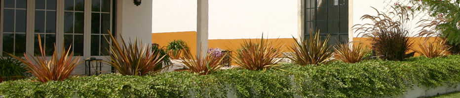 A Quinta