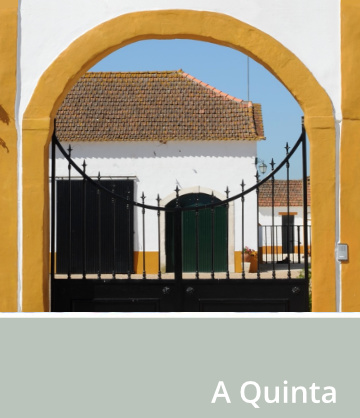 A Quinta