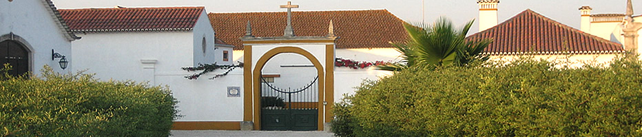 Localizao