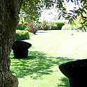 Jardim